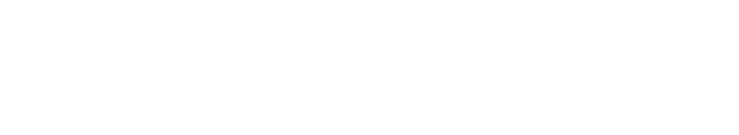 SeguroSaludChile.cl