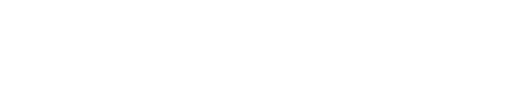 SeguroSaludChile.cl